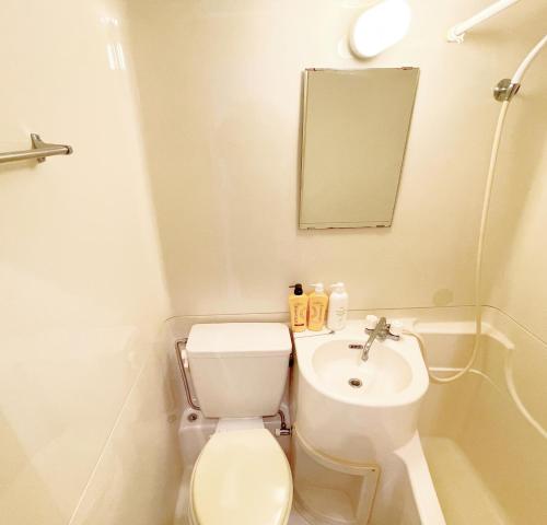 a small bathroom with a toilet and a sink at 水道橋神保町 05 in Tokyo