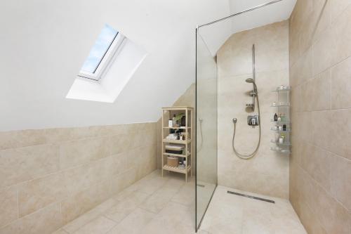 y baño con ducha con cabina de ducha de cristal. en Sali Homes - Residenz zum Breitenauer See, en Obersulm