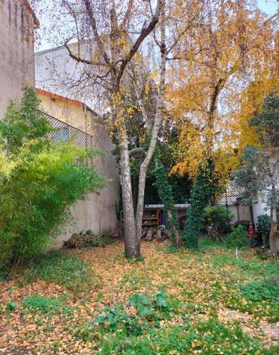 un arbre dans une cour avec un banc à côté d'un mur dans l'établissement Magnifique maison + jardin à Paris Porte des Lilas, à Bagnolet