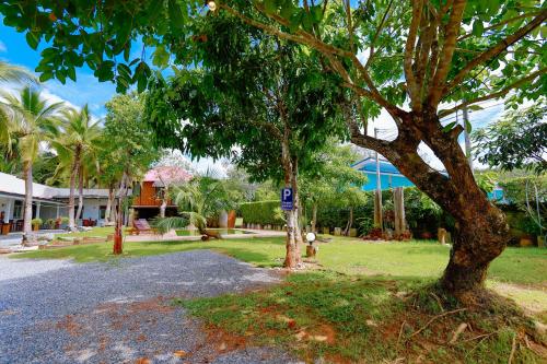 a tree on the side of a road at Aonang Privacy Resort in Ao Nang Beach