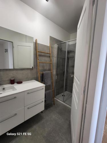 uma casa de banho com um lavatório branco e um chuveiro em Maison Confort et détente em Tavaco