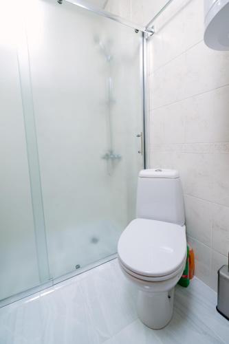 a bathroom with a toilet and a shower at PANORAMA SPA ASPEN APARTMENT in Razlog
