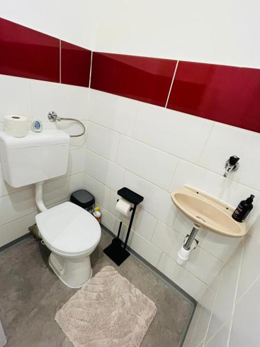 リンツにあるMagnifique Appartmentのトイレと洗面台付きのバスルーム