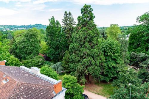 een luchtzicht op een huis met een grote boom bij Bel appartement au bord de l'Allier classé 4* in Vichy