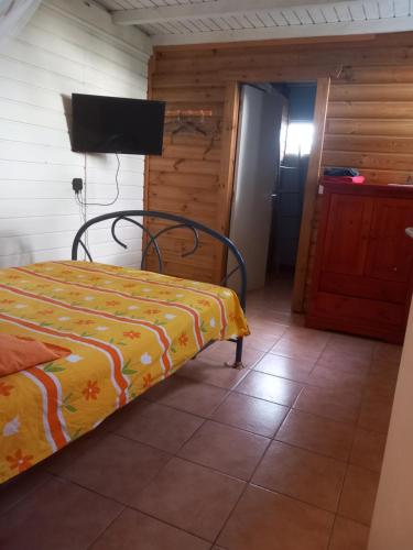 1 dormitorio con 1 cama y TV en una habitación en studio dans un écrin vert, en Saint-Claude