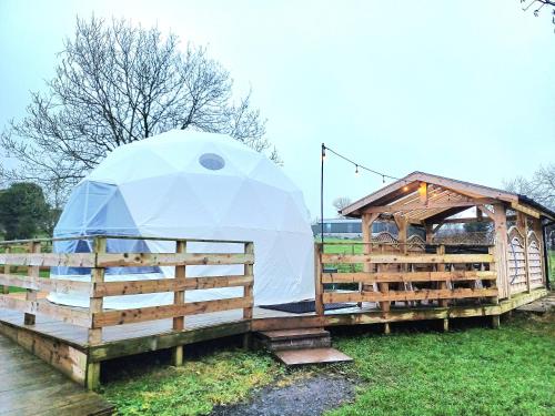 uma tenda de iguana numa plataforma de madeira com uma cerca em Little River Glamping em Ballymoney