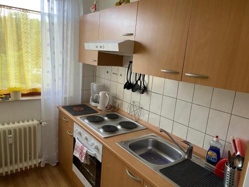 Apartment Hannover Messeにあるキッチンまたは簡易キッチン