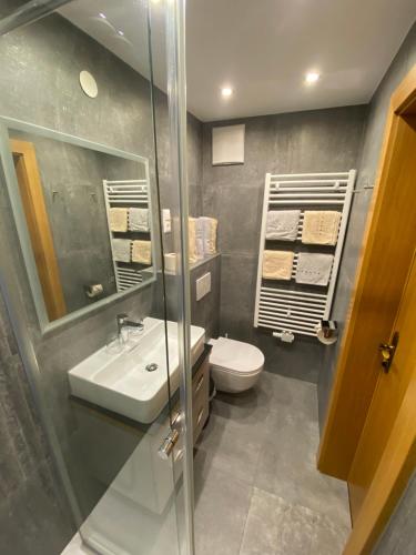 a bathroom with a toilet and a sink and a shower at Active Apart Central in Ried im Oberinntal