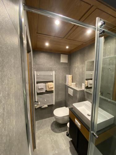 a bathroom with a toilet and a sink at Active Apart Central in Ried im Oberinntal