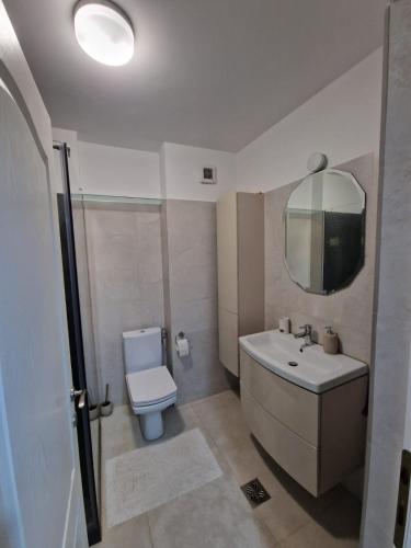 a bathroom with a toilet and a sink and a mirror at Gray apartment nearby Amethyst & Vivo Mall in Floreşti
