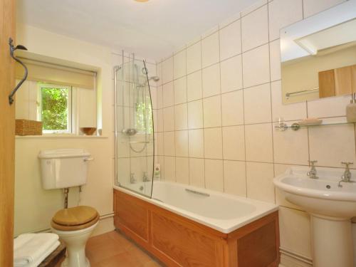 La salle de bains est pourvue de toilettes, d'un lavabo et d'une douche. dans l'établissement 1 Bed in Stow-on-the-Wold 44932, à Naunton