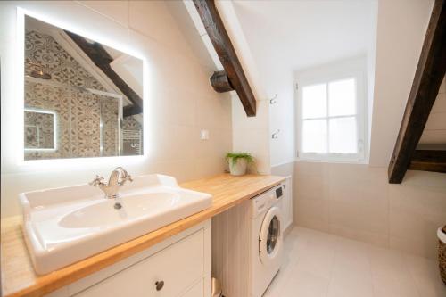 uma casa de banho com um lavatório e uma máquina de lavar roupa em Le Laurencin Sens - Le Family em Sens
