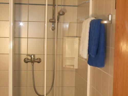 イムストにあるApart-Haus-Florian-Terrassenappartementのバスルーム(シャワー、青いタオル付)