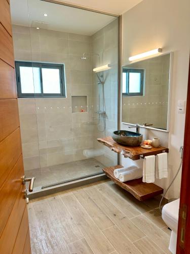 a bathroom with a shower with a sink and a mirror at Pineapple Beach Villas in Baie Lazare Mahé
