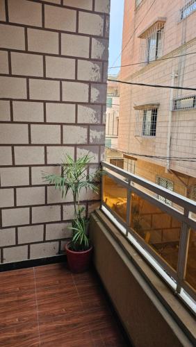 einen Balkon mit einer Pflanze an der Seite eines Gebäudes in der Unterkunft Hotel Golden Inn in Karatschi