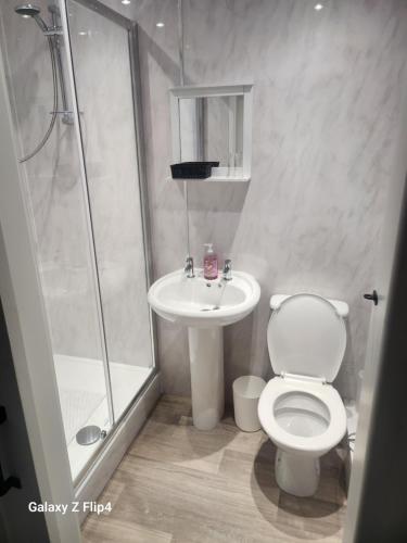 een badkamer met een toilet, een douche en een wastafel bij The Dock Hotel in Amble