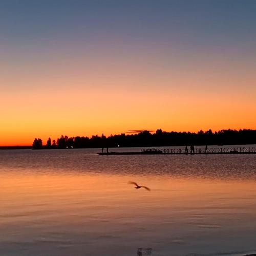 a bird flying over the water at sunset at Årsunda Strandbad in Årsunda