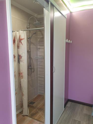 een badkamer met een douche en een glazen deur bij Chez Nou ... in Salazie