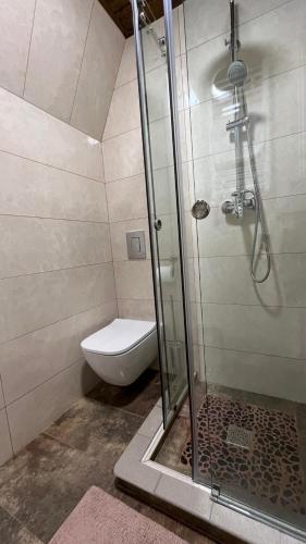 Gallery image of Lastivka Guest House in Yablunytsya