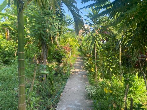 a path through a garden with palm trees at King Kong Restaurant and Bungalows in Muang Không