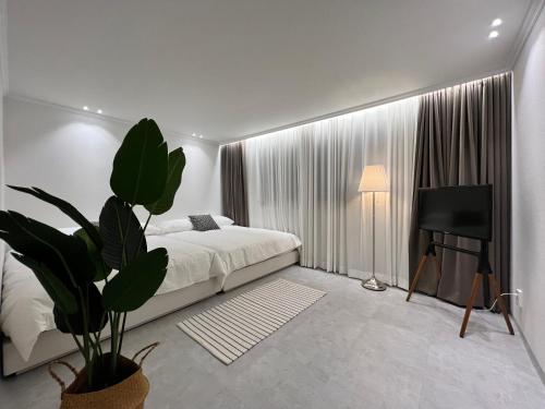 a bedroom with a bed and a potted plant at Oasis in Seoul