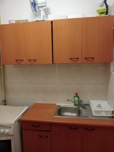 a kitchen with a sink and wooden cabinets at Romana City Center Studio in Bucharest