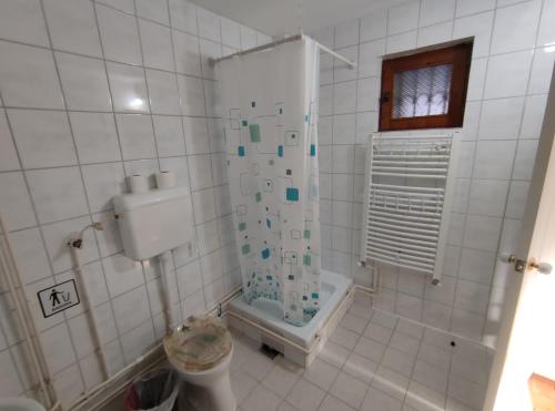bagno con doccia e servizi igienici. di Nikolic Apartment a Leskovac