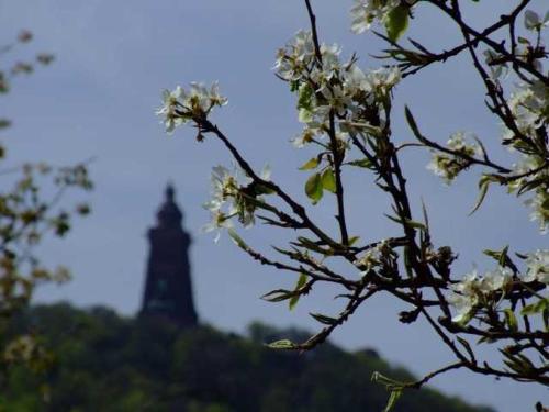 una torre in lontananza con un albero fiorito di Ferienhaus Hofmann Hainrode a Hainrode