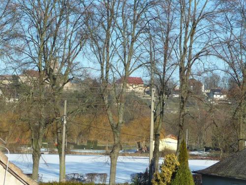 uma vista para um campo coberto de neve com árvores em Ferienwohnung DZ Blesse Allstedt em Allstedt