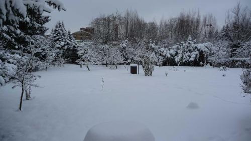 a field covered in snow with trees and a trashcan at Ferienwohnung DZ Blesse Allstedt in Allstedt