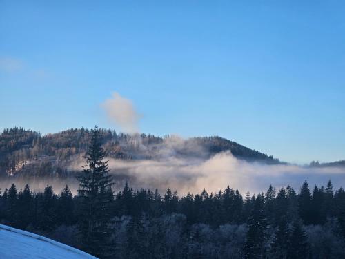 a view of a mountain with fog in the forest at H11 - Evergreen Tale in Bystrá