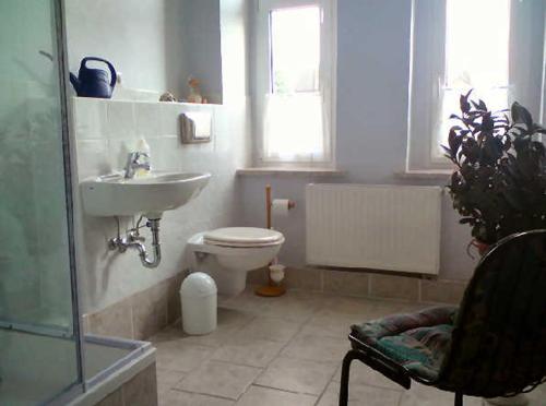 y baño con aseo, lavabo y ducha. en Ferienwohnung Gleißner Hartmann, en Sangerhausen