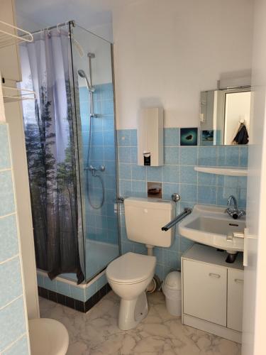 a bathroom with a toilet and a shower and a sink at FeWo Talblick 22 in Bad Lauterberg