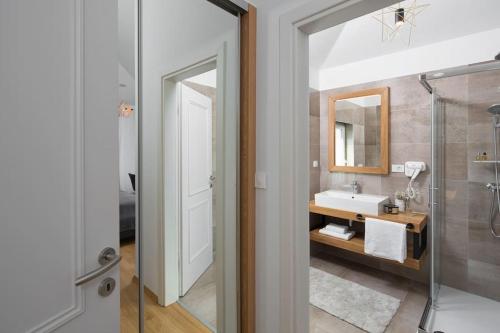 a bathroom with a sink and a shower and a mirror at Villa Analucija 2 by IstriaLux in Kršan