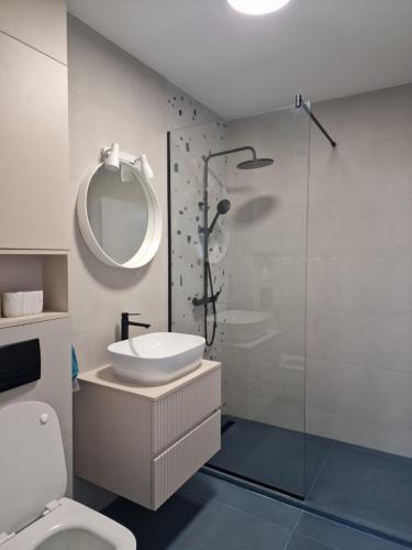e bagno con servizi igienici, lavandino e doccia. di Blue apartment nearby Amethyst & Vivo Mall a Floreşti