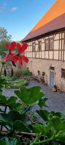 a building with a red flower in front of it at Pension Stadtmühle Allstedt in Allstedt