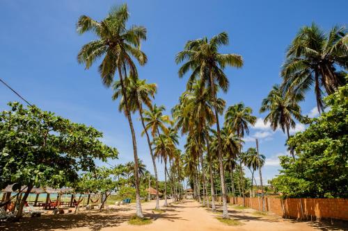a row of palm trees on a dirt road at Moriah Maceió Beach Hotel in Maceió