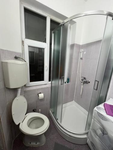 a bathroom with a toilet and a glass shower at M&L downtown apartment in Sajmište