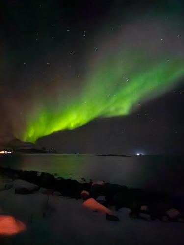 an aurora in the sky over a body of water at Lund - Exellent Apartment in Tromsø