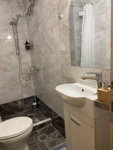 a bathroom with a toilet and a sink and a shower at Downtown New Studio PM1 (ΠΜ1) in Larisa