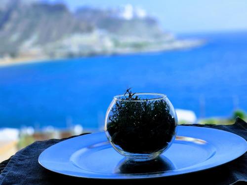 a glass cup on a plate on a table at Residence Ocean View in Mogán