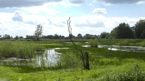 Gallery image of Safaritent at Camping GT Keiheuvel in Balen