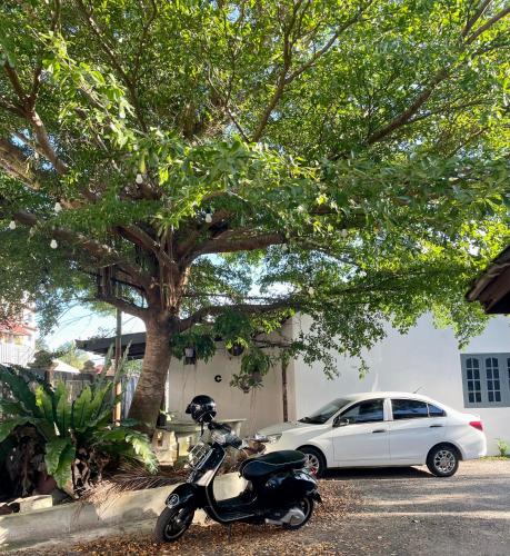 uma moto estacionada ao lado de um carro branco debaixo de uma árvore em Hj Hassan Guest House- Studio Unit em Kuala Terengganu