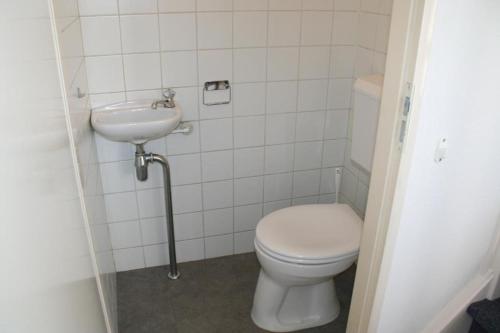 ein kleines Badezimmer mit Toilette und Waschbecken in der Unterkunft Lamsoor 26* in Nieuwvliet