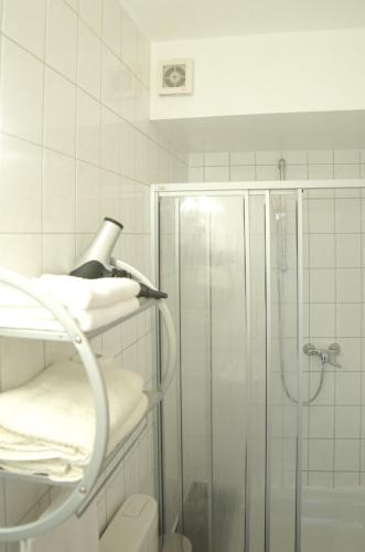 a bathroom with a shower and a sink at Pension Am Alten Markt in Halle an der Saale