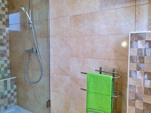 una doccia con un asciugamano verde in bagno di Villa Rebeka a Šilo