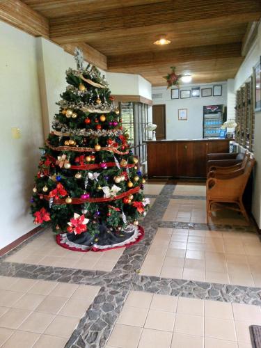Gambar di galeri bagi Alfonso Hotel di Alfonso
