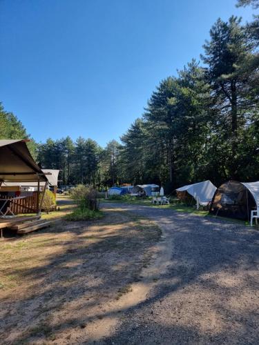 Lille的住宿－Camping Siësta，一组帐篷和桌子