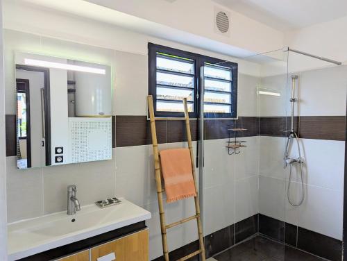een badkamer met een wastafel en een douche bij Le Sable Blanc -T2 à la Saline avec piscine in La Saline les Bains