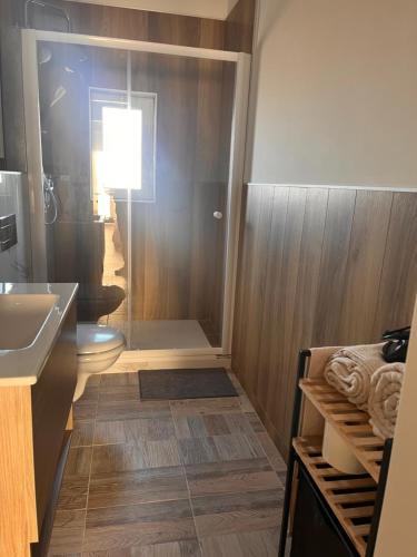 a bathroom with a shower with a sink and a toilet at B&B borgo Dolcecanto in Gravina in Puglia